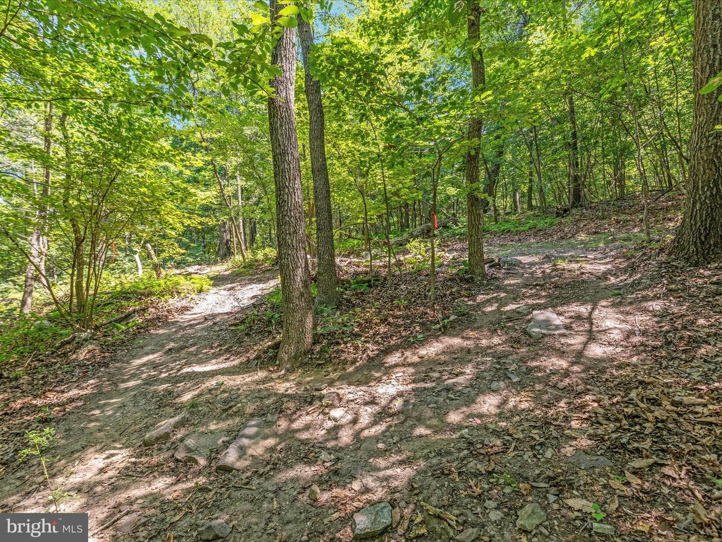 4327 Ebenezer Road photo 47