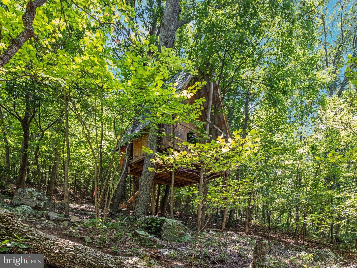 4327 Ebenezer Road photo 48