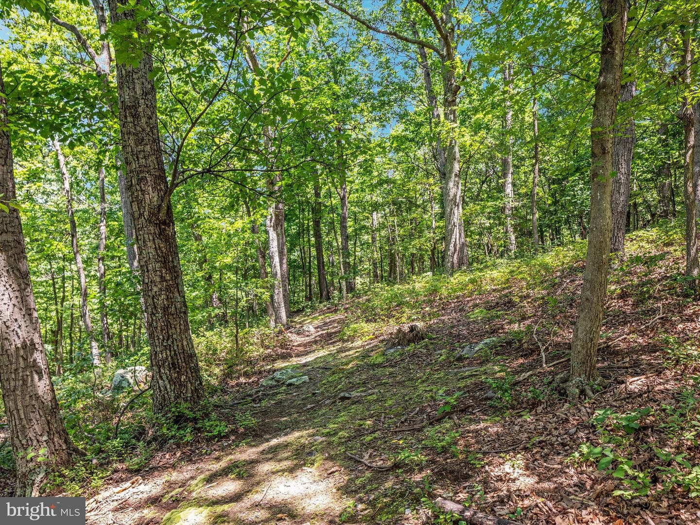 4327 Ebenezer Road photo 49