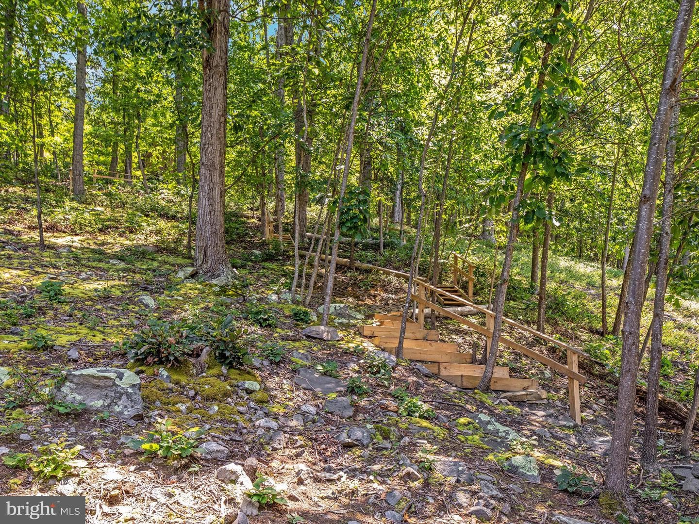 4327 Ebenezer Road photo 50
