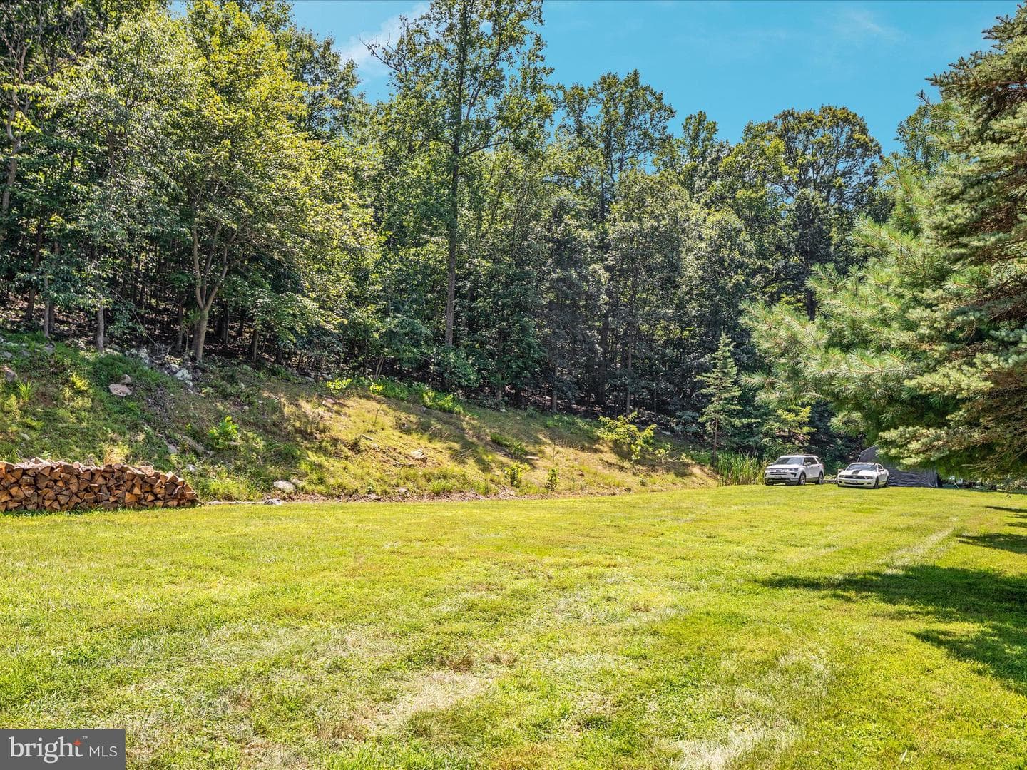 4327 Ebenezer Road photo 53