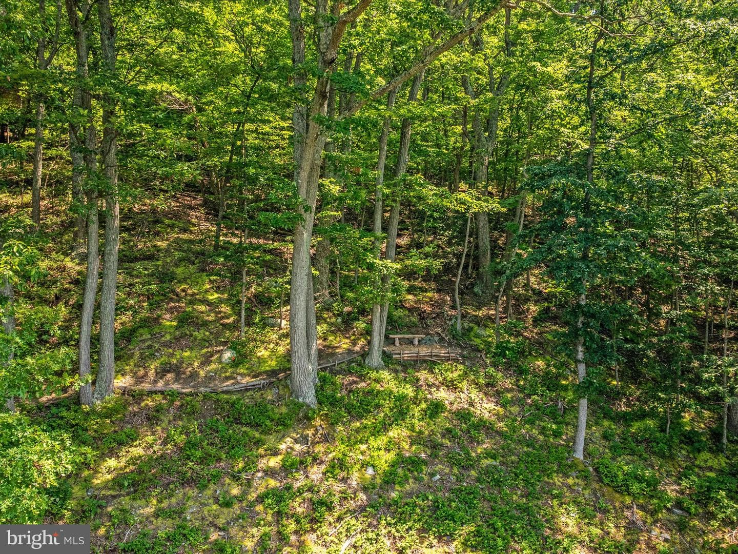4327 Ebenezer Road photo 86