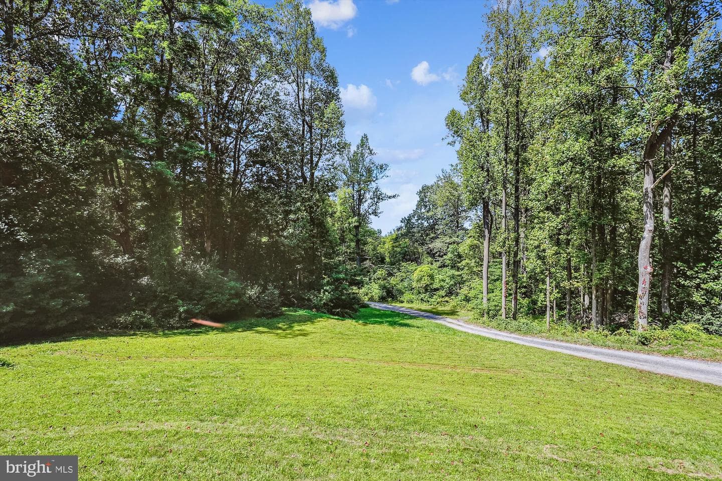 21826 Blue Ridge Mtn Road photo 51