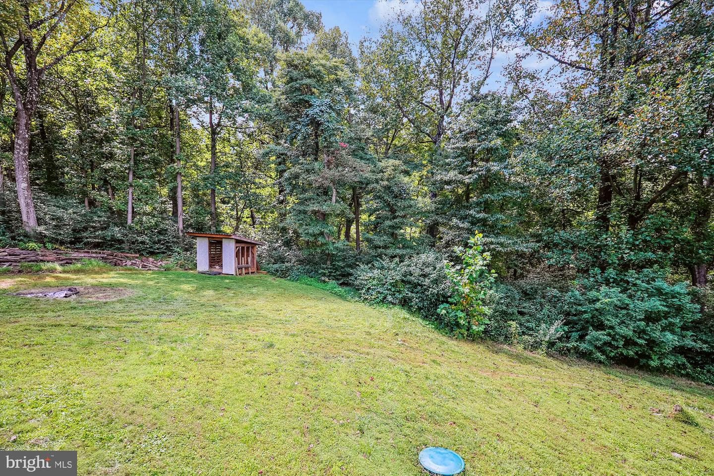 21826 Blue Ridge Mtn Road photo 52
