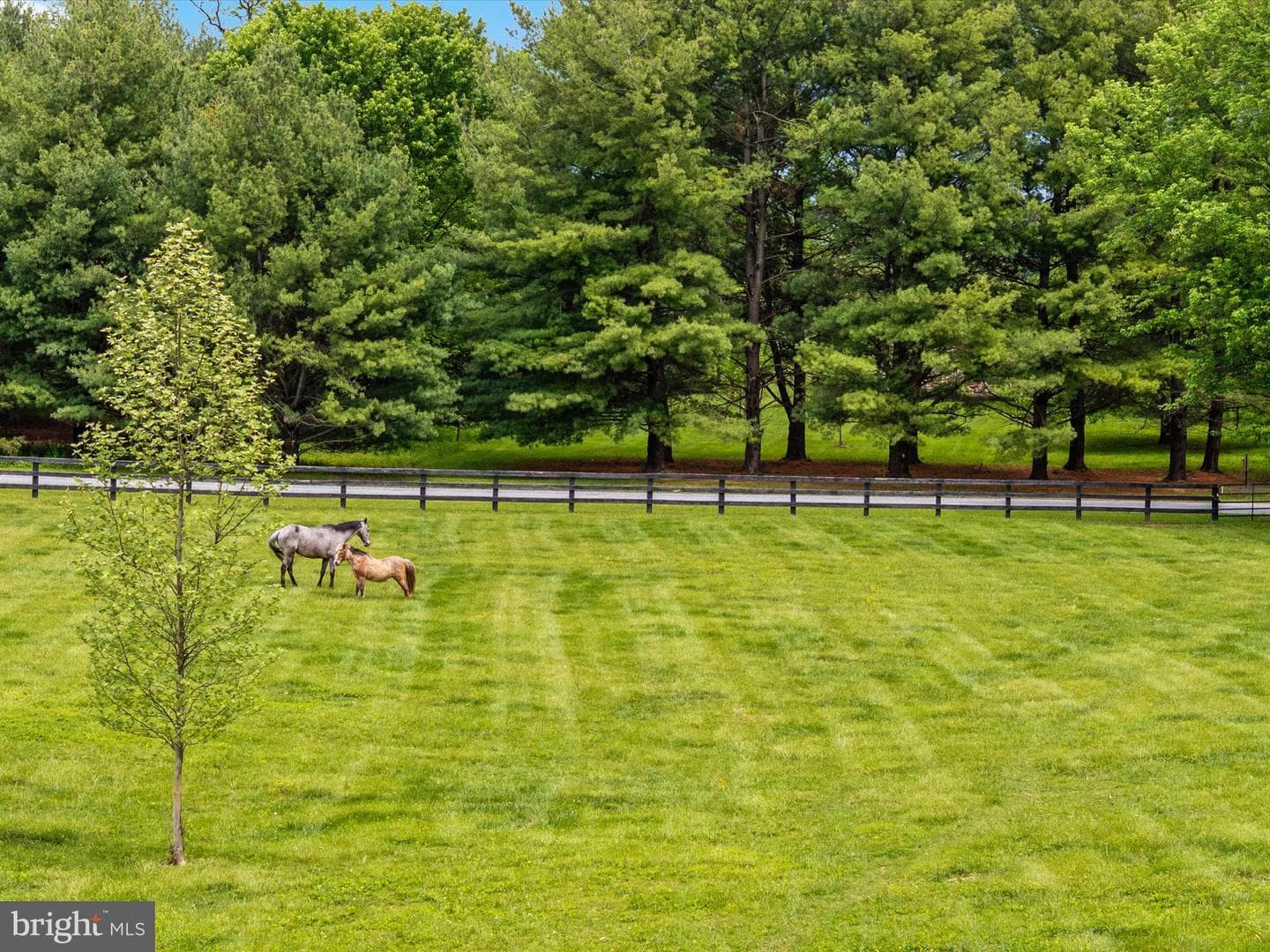 78 Burch Lane photo 45