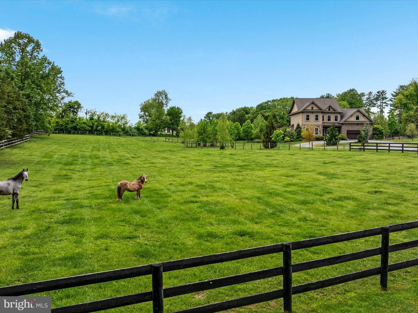 78 Burch Lane photo 6