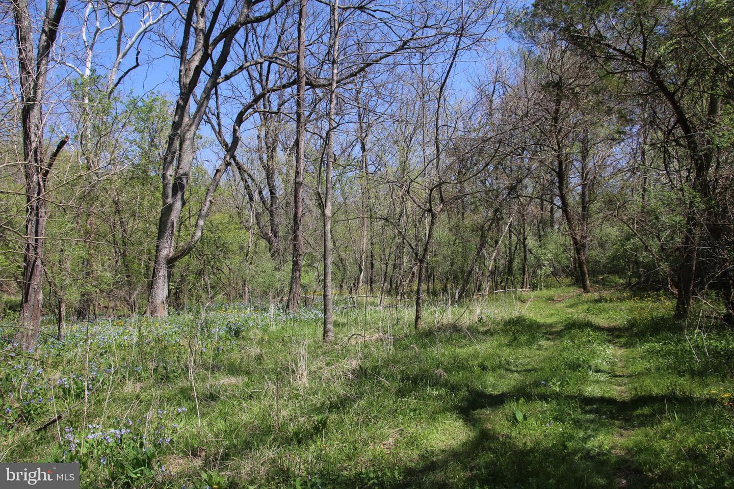 2983 Old Winchester Road photo 22