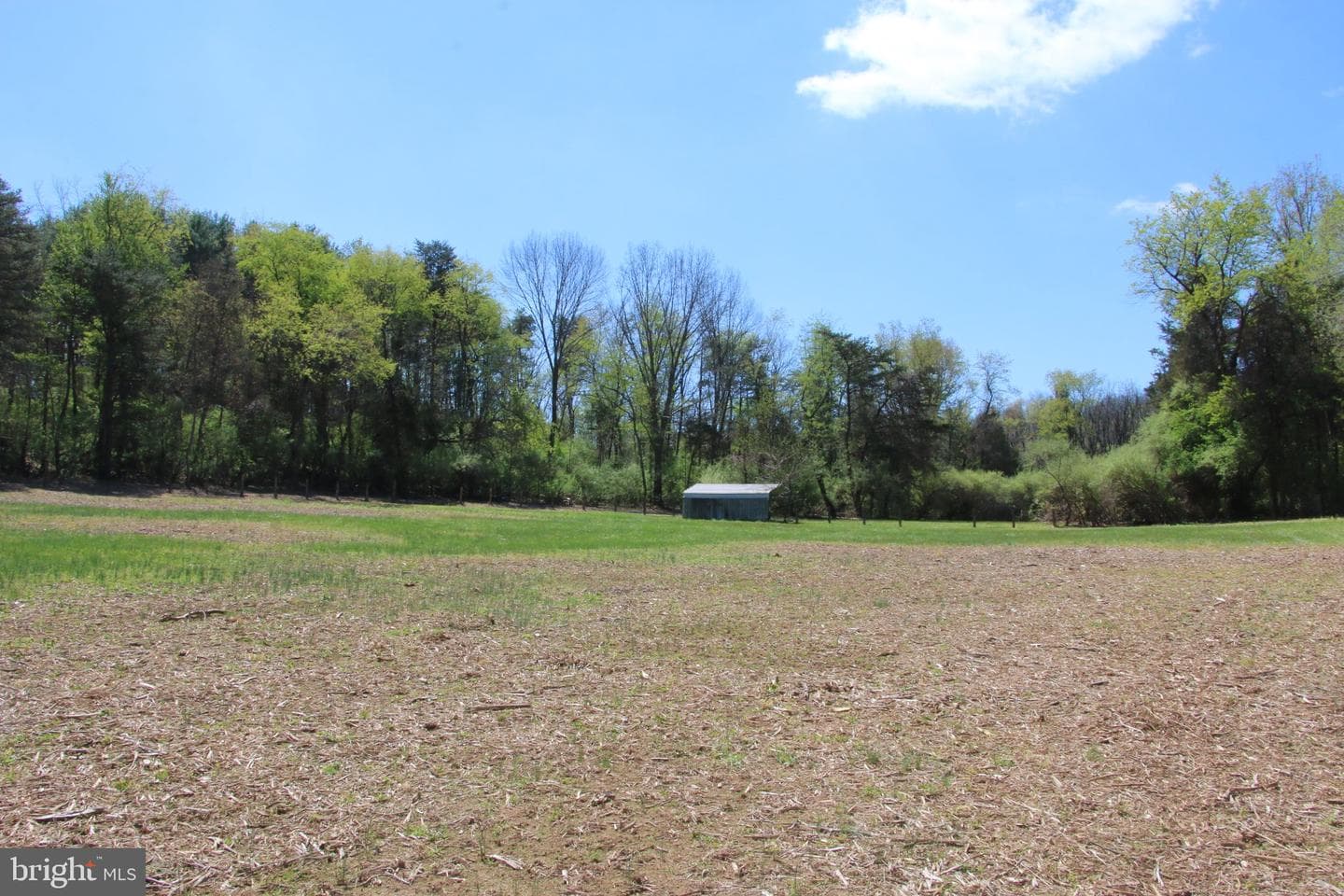 2983 Old Winchester Road photo 34