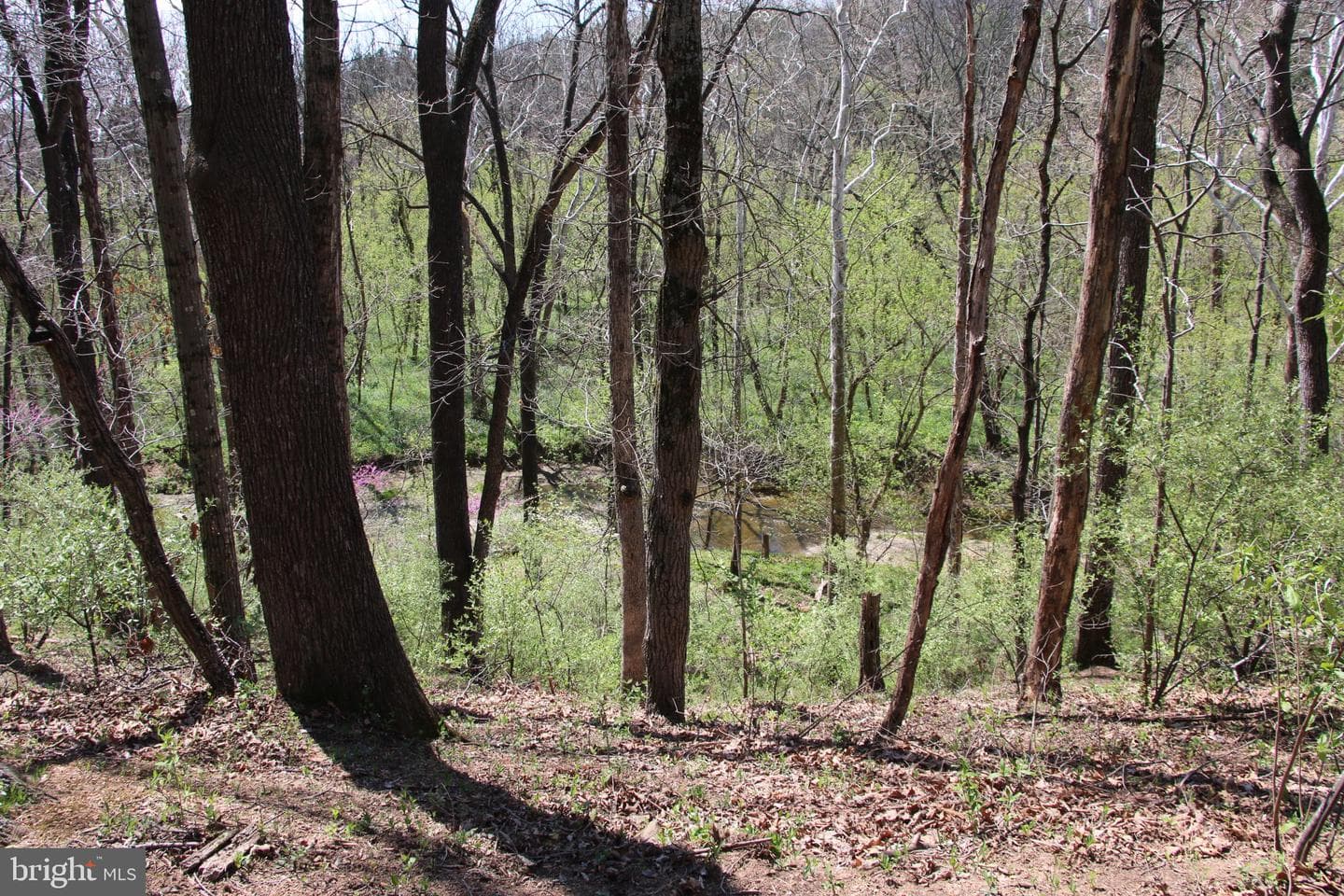 2983 Old Winchester Road photo 8