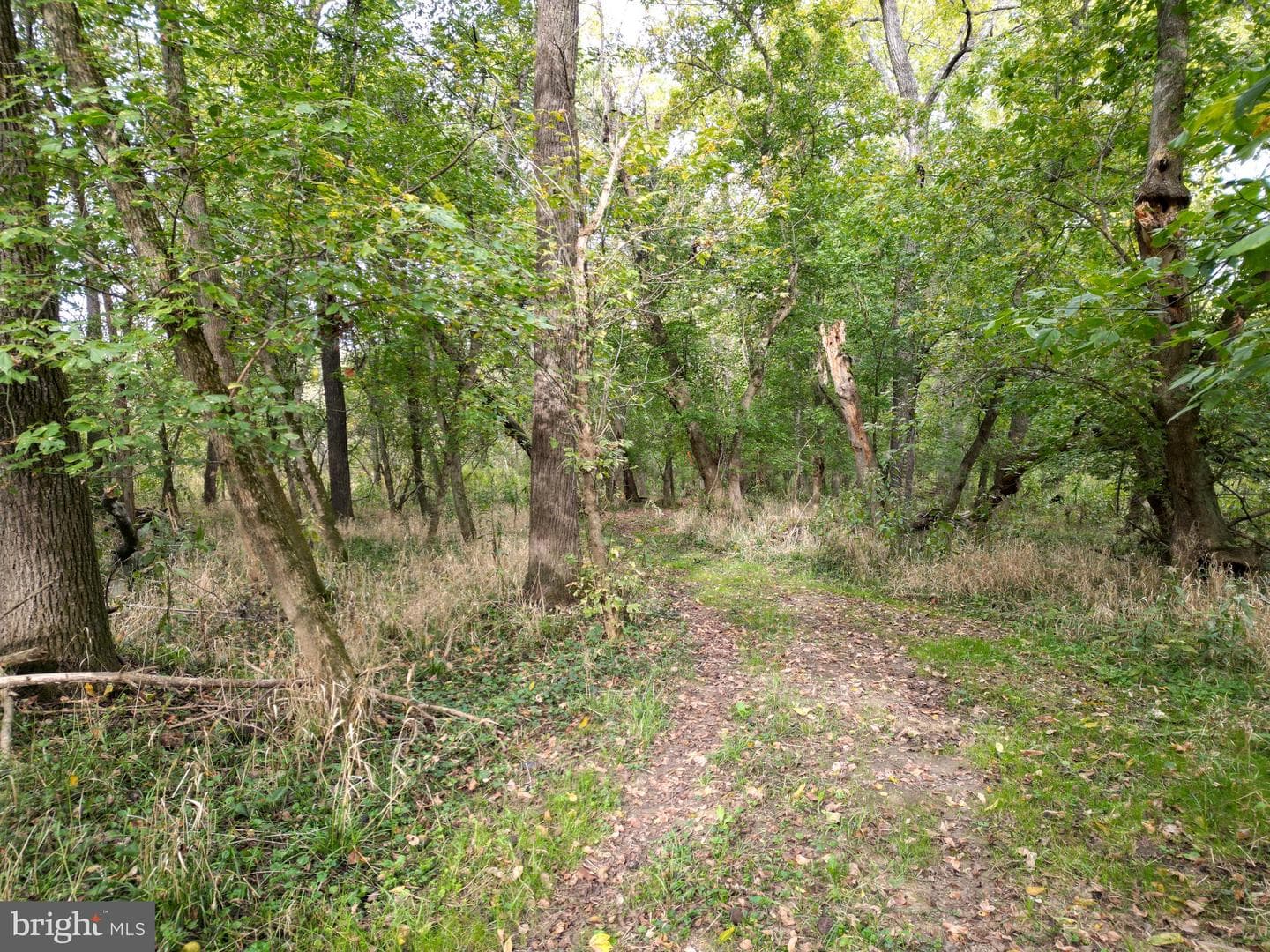 2983 Old Winchester Road photo 86
