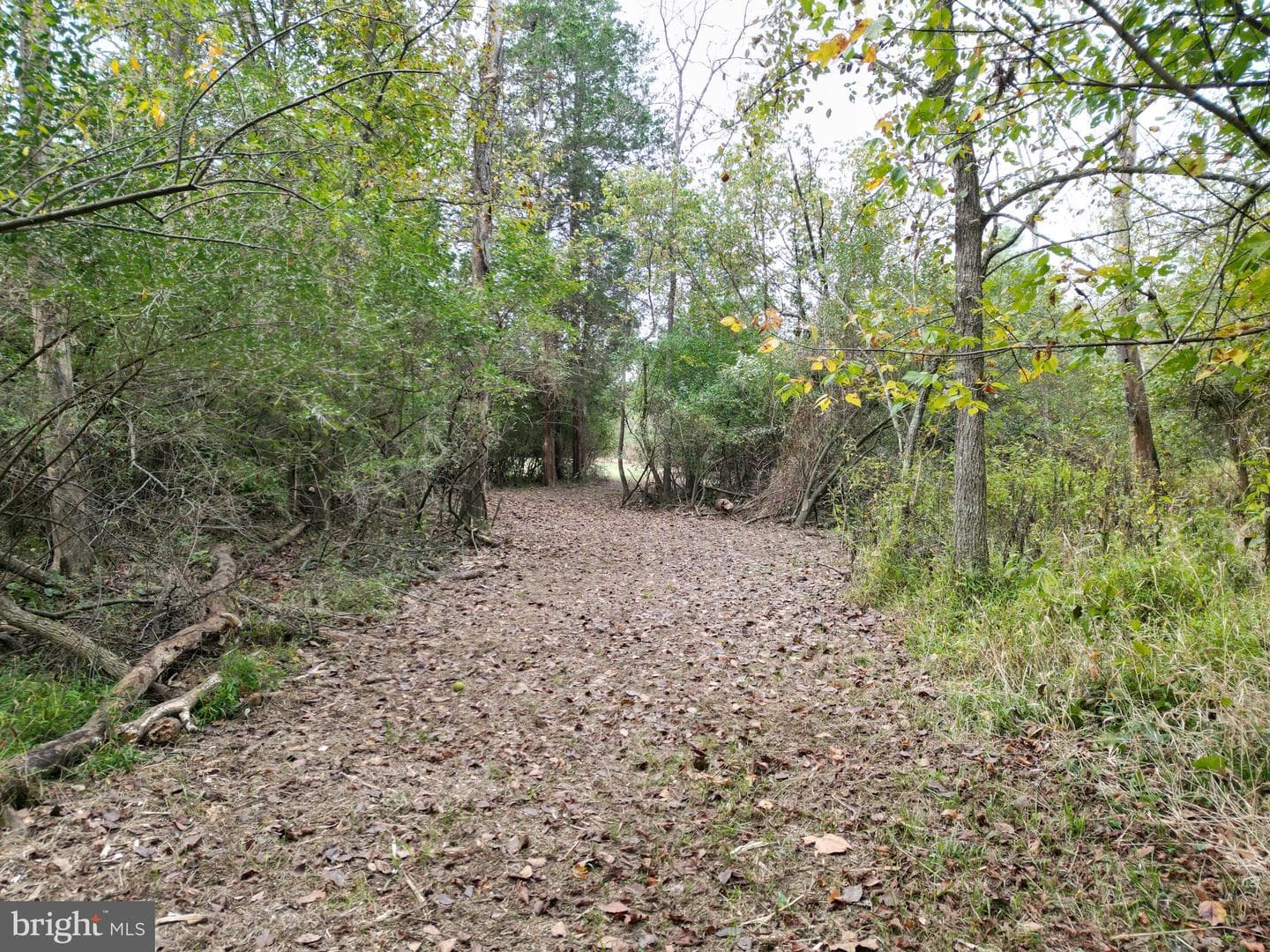 2983 Old Winchester Road photo 87