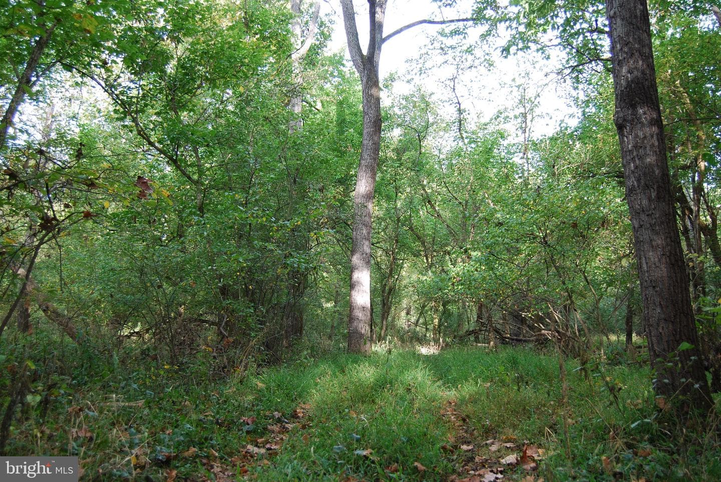 2983 Old Winchester Road photo 94