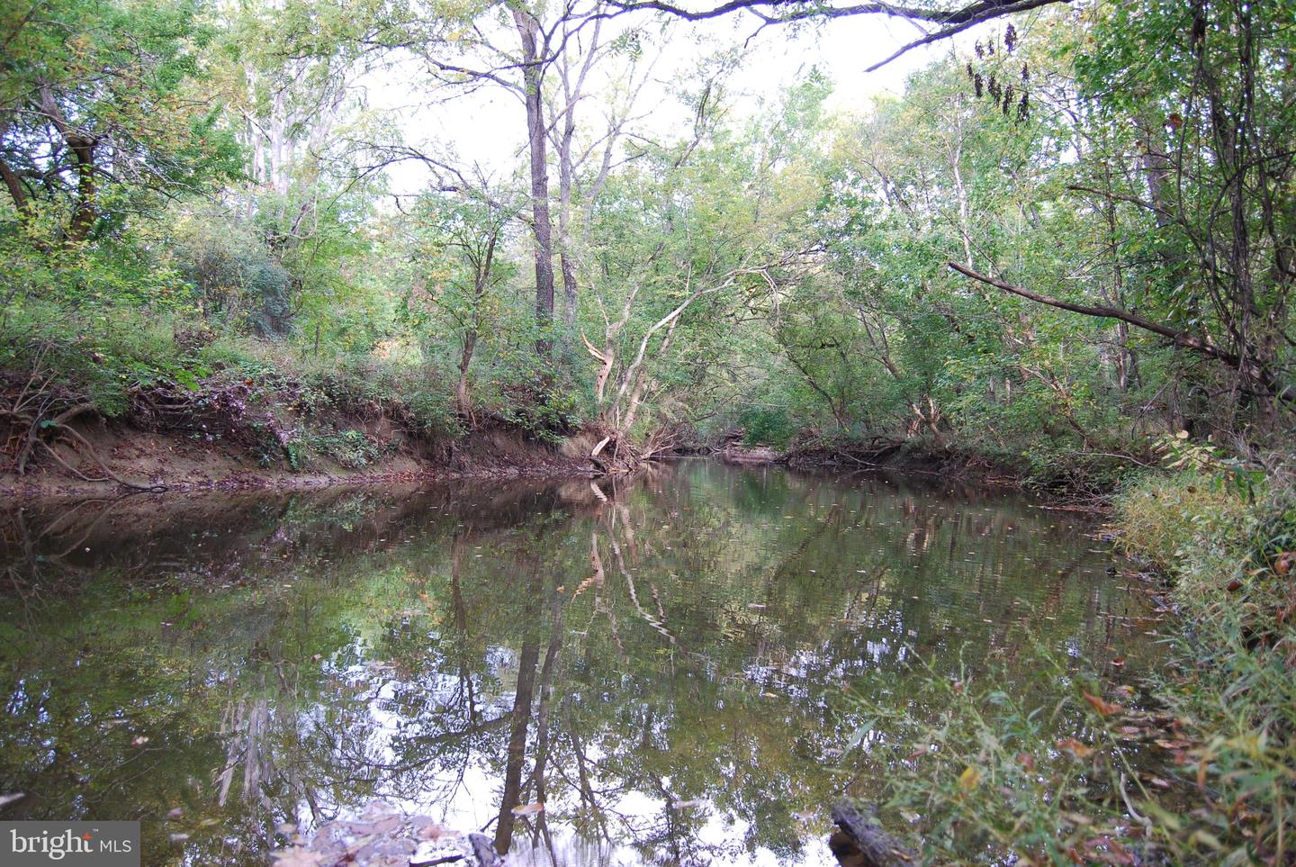 2983 Old Winchester Road photo 96