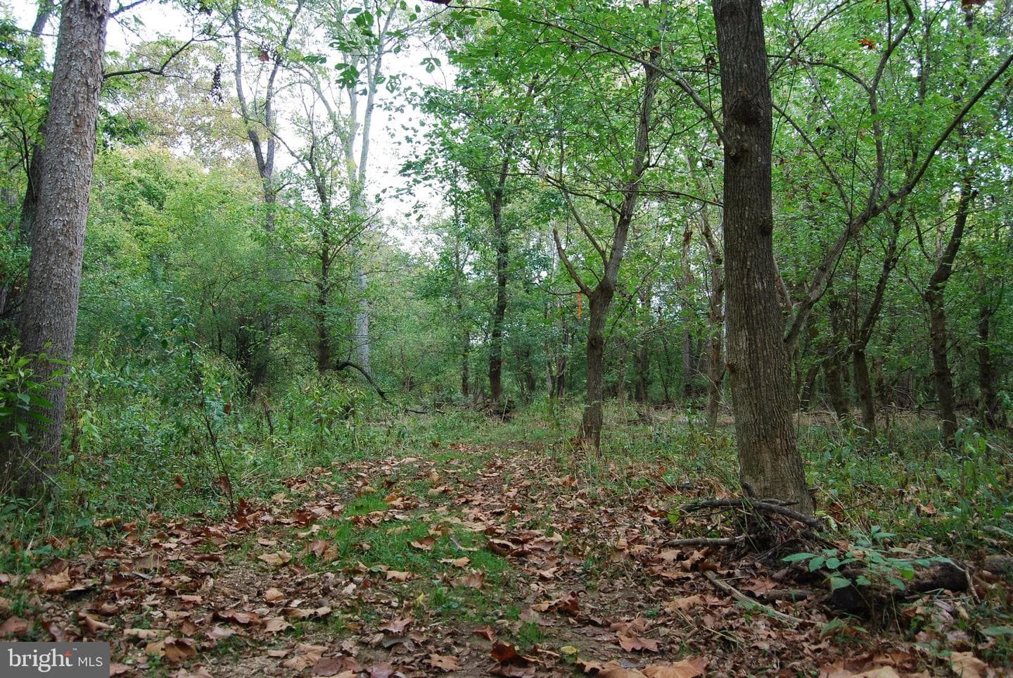 2983 Old Winchester Road photo 99