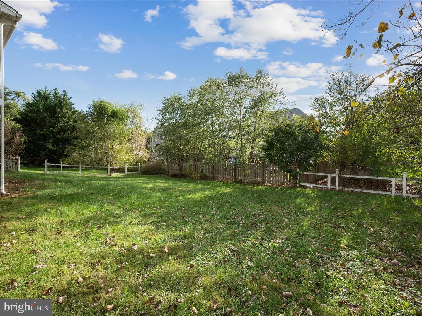 317 Henderson Court photo 55