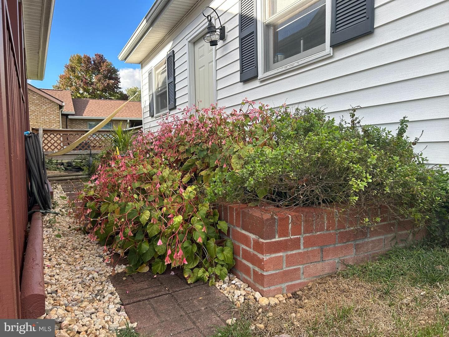 238 Walnut Street photo 20