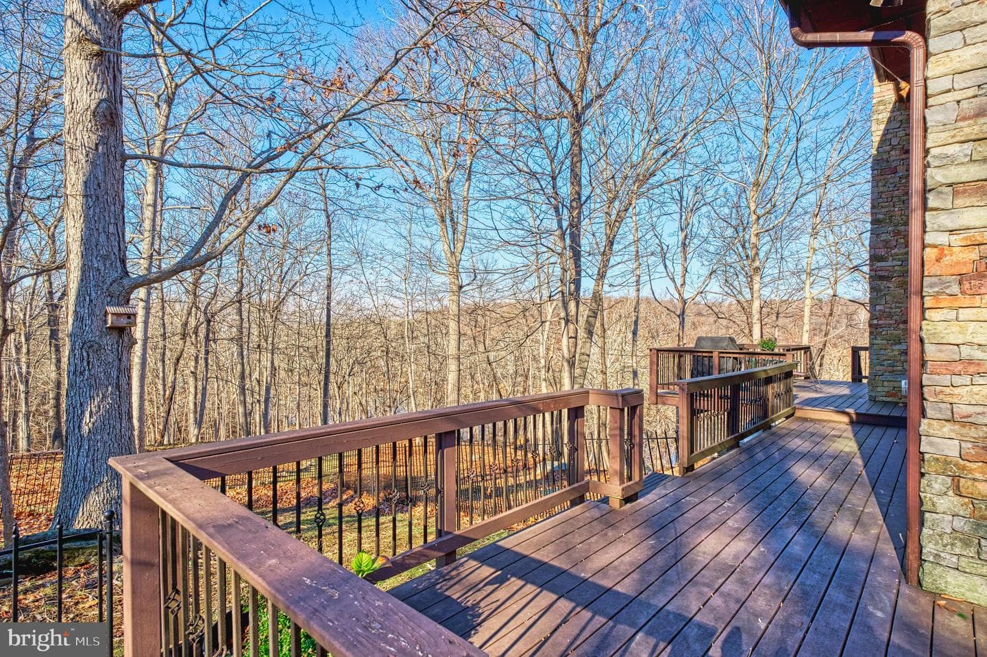 222 Barred Owl Lane photo 63