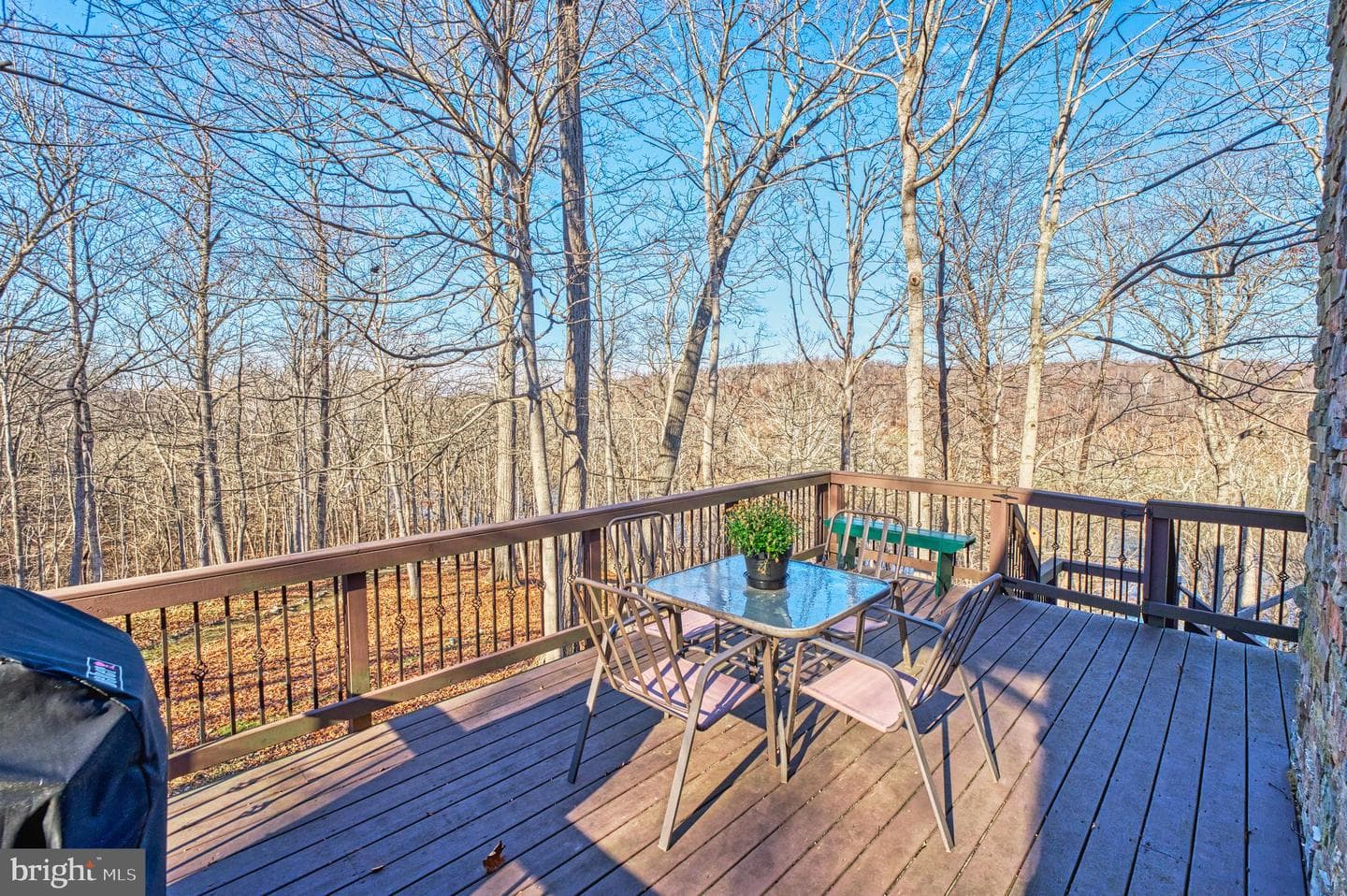 222 Barred Owl Lane photo 70