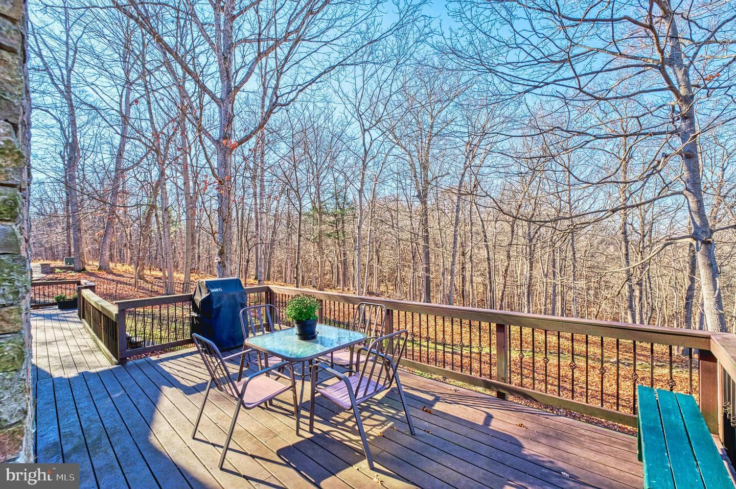 222 Barred Owl Lane photo 71