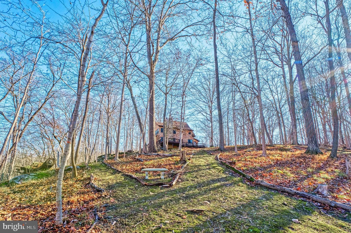 222 Barred Owl Lane photo 74