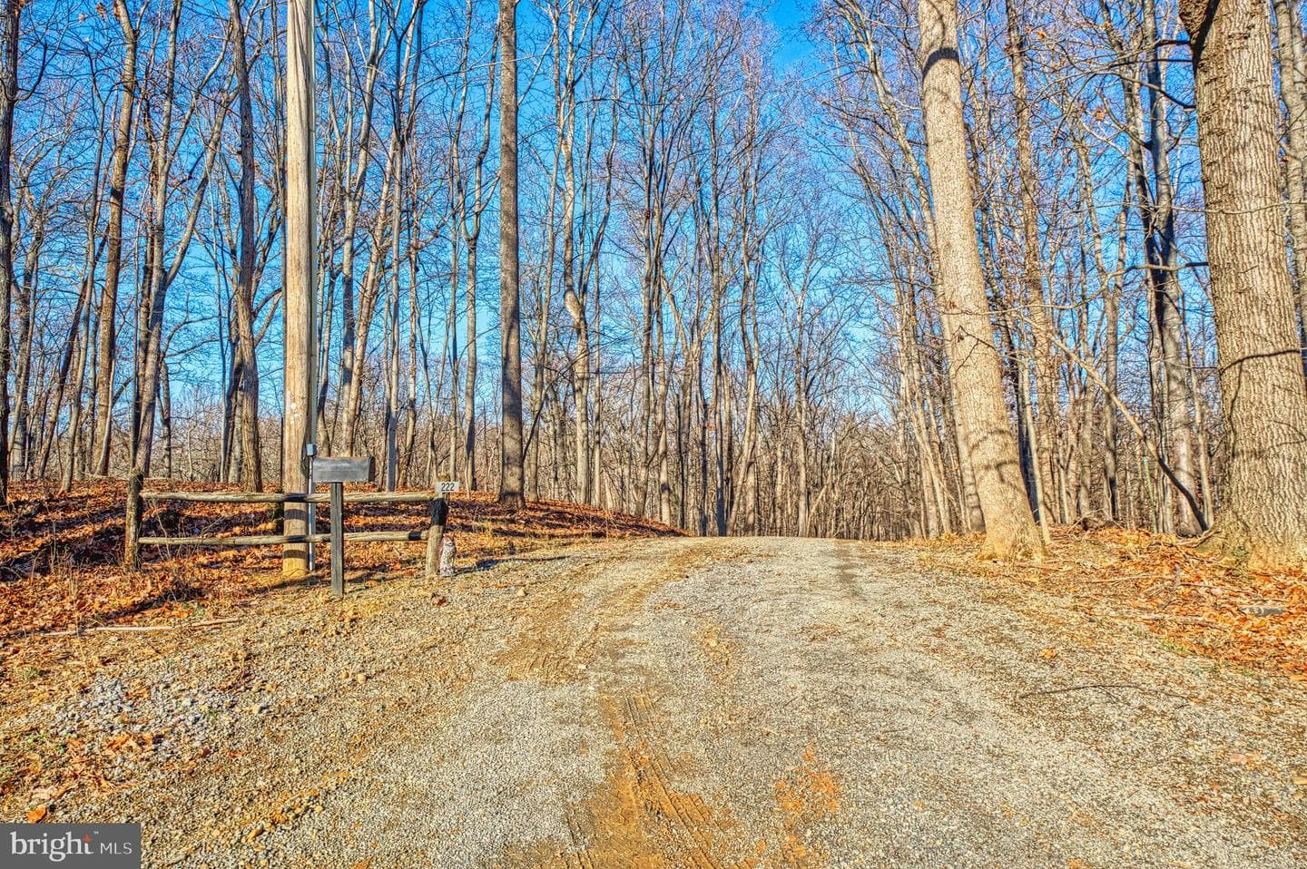 222 Barred Owl Lane photo 79