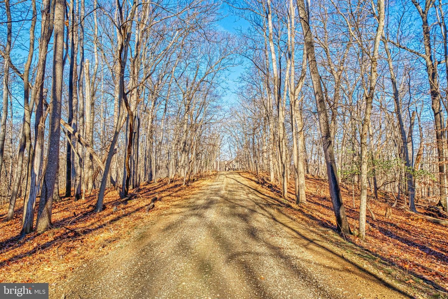 222 Barred Owl Lane photo 80