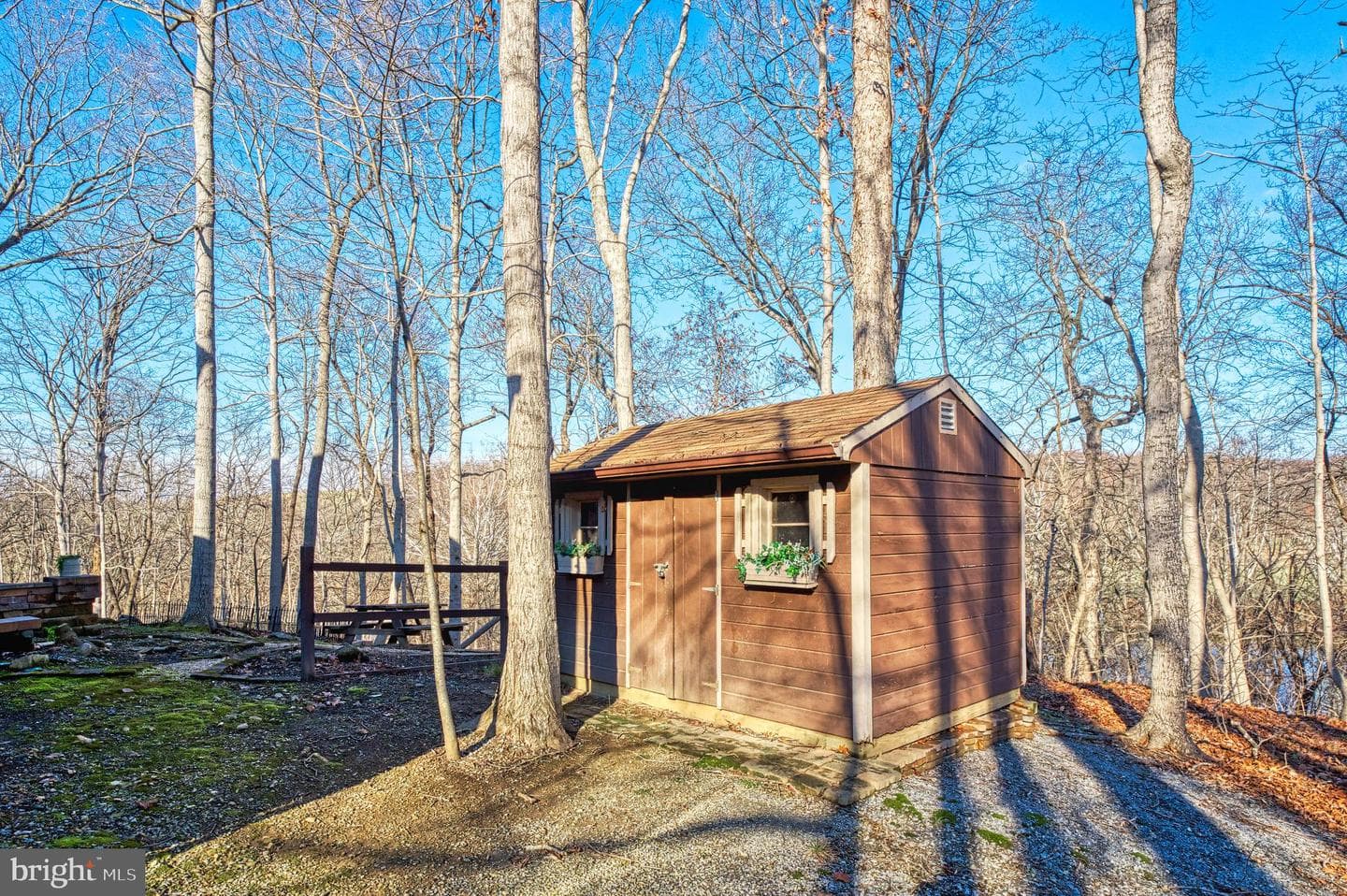 222 Barred Owl Lane photo 81