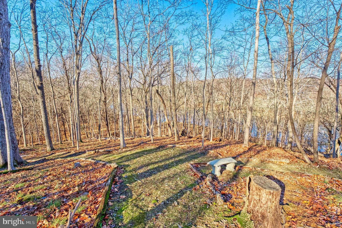 222 Barred Owl Lane photo 83