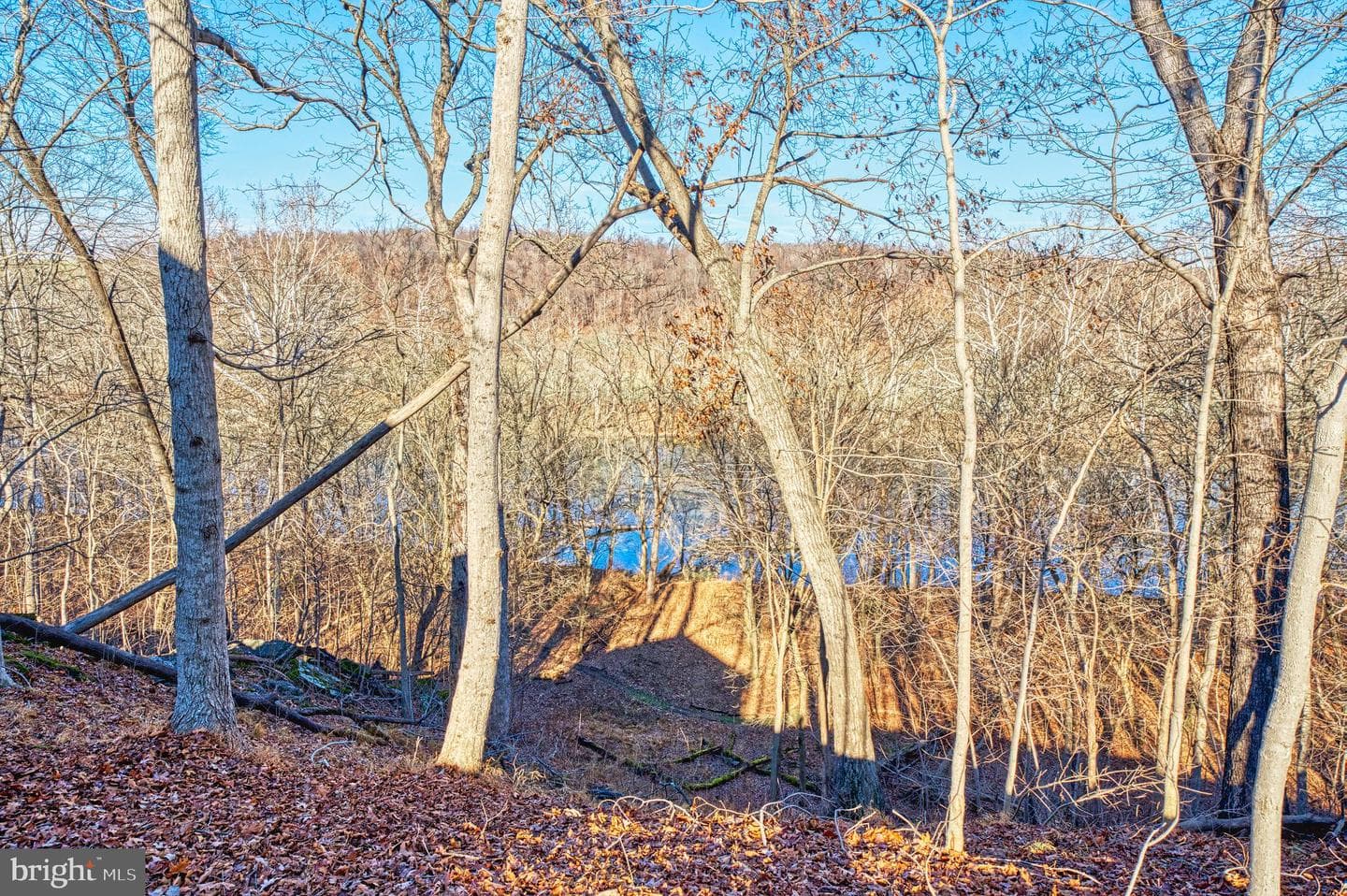 222 Barred Owl Lane photo 84