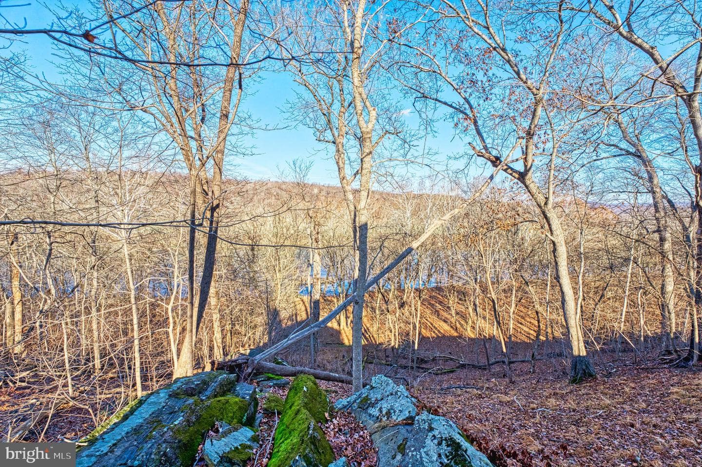 222 Barred Owl Lane photo 85