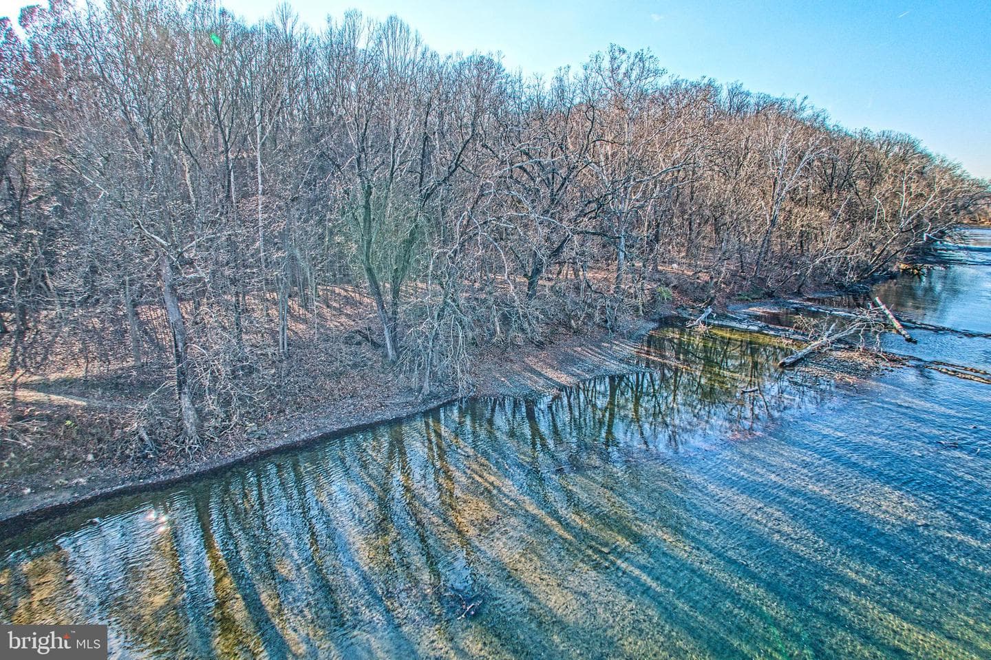 222 Barred Owl Lane photo 91