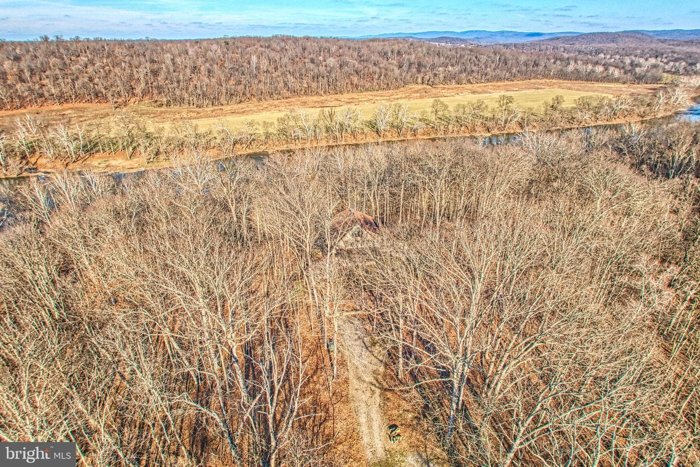 222 Barred Owl Lane photo 95