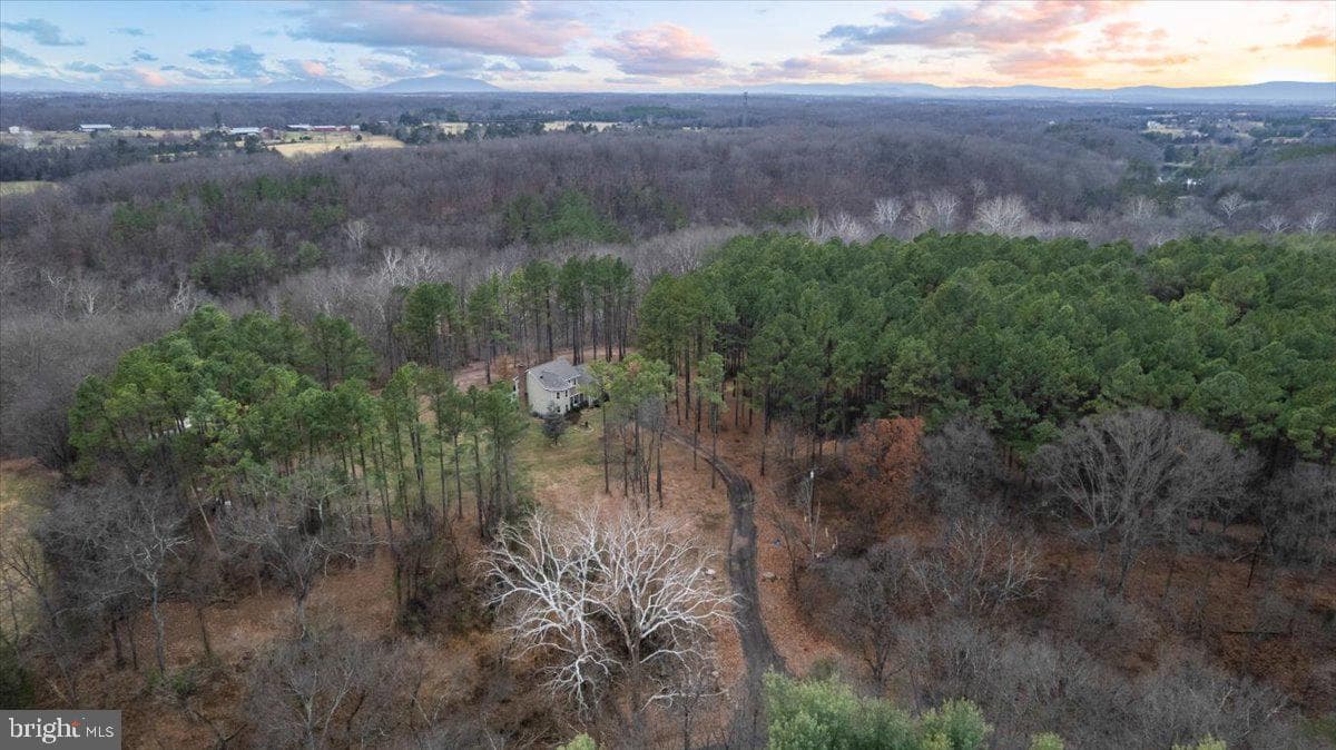 2981 Old Winchester Road photo 44