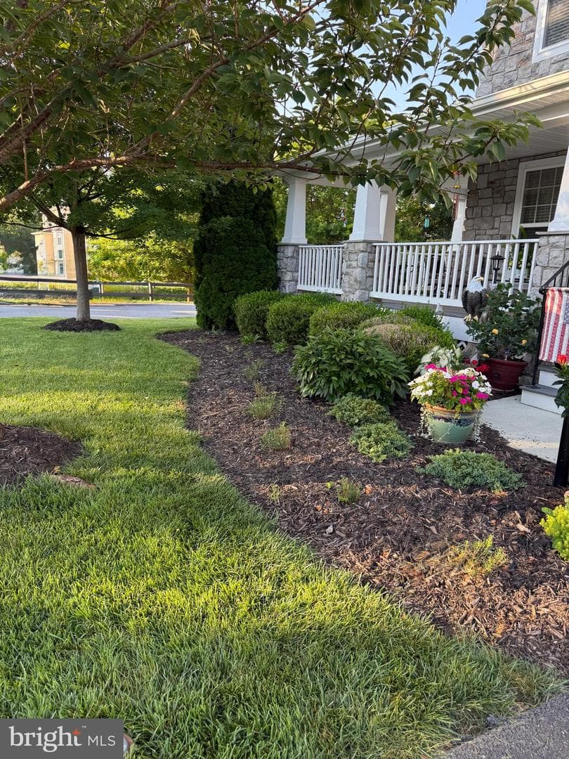 113 Roseville Court photo 54