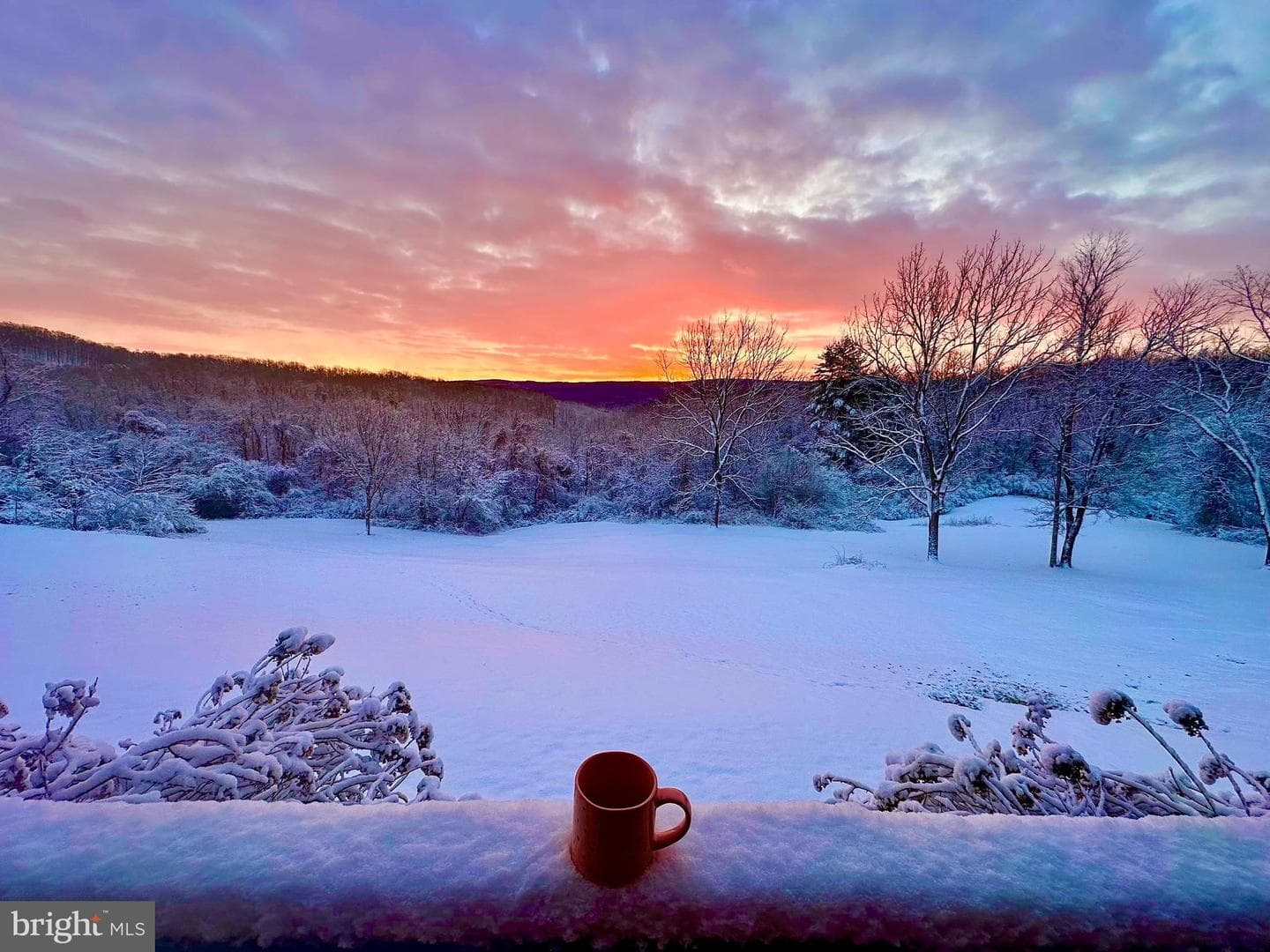 1230 Chilly Hollow Road photo 43