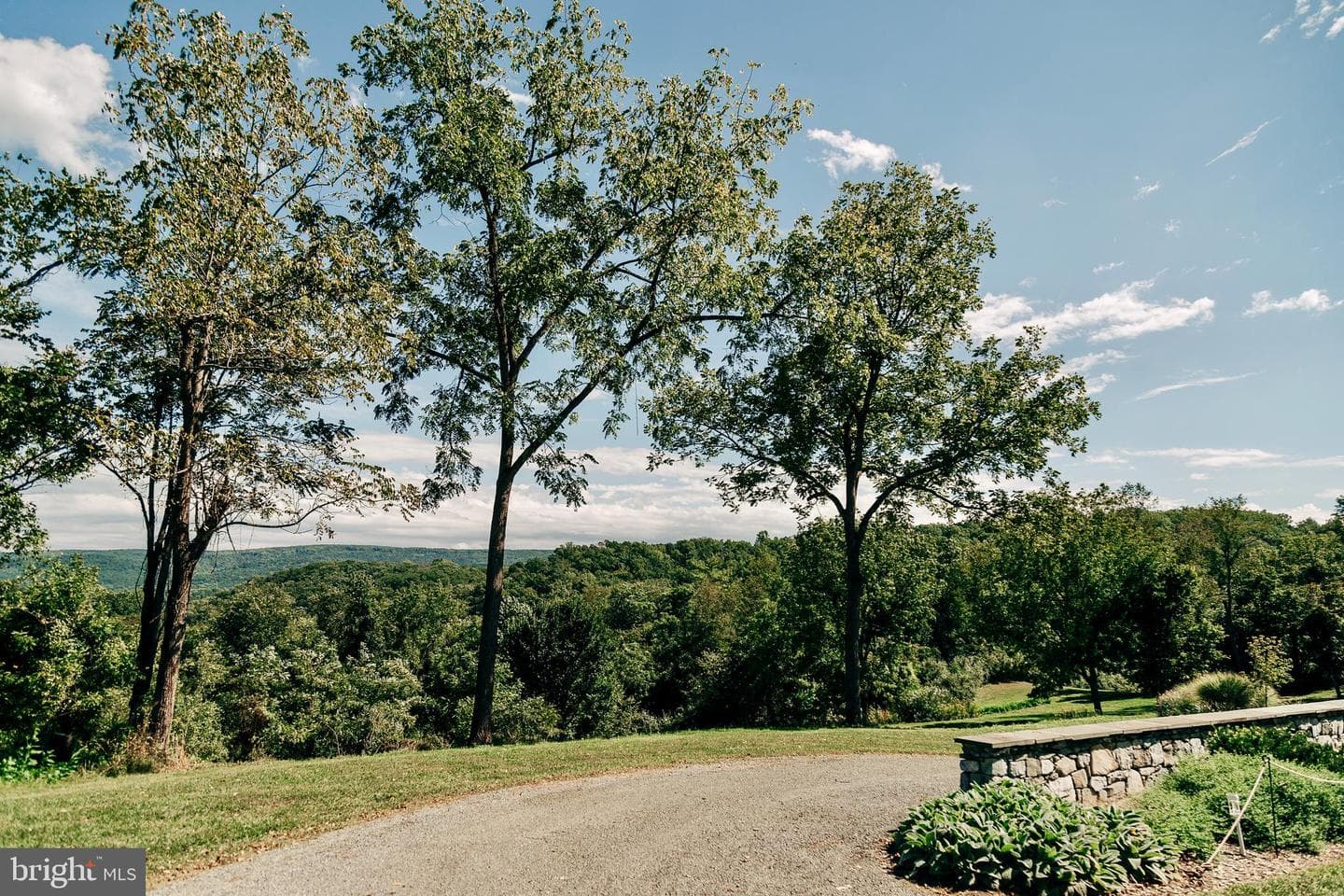 1230 Chilly Hollow Road photo 49