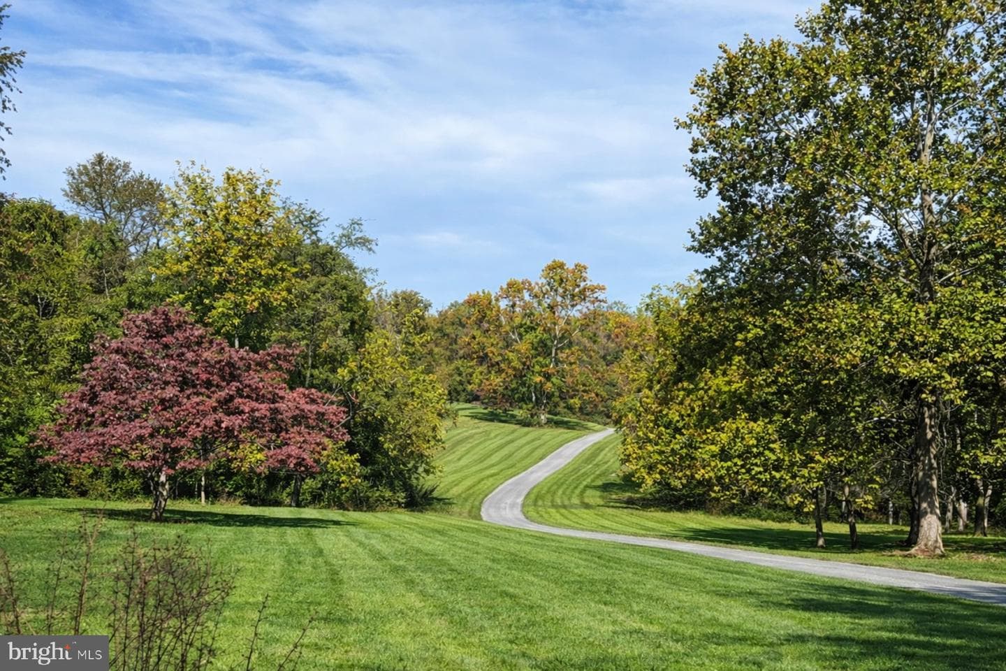 1230 Chilly Hollow Road photo 5