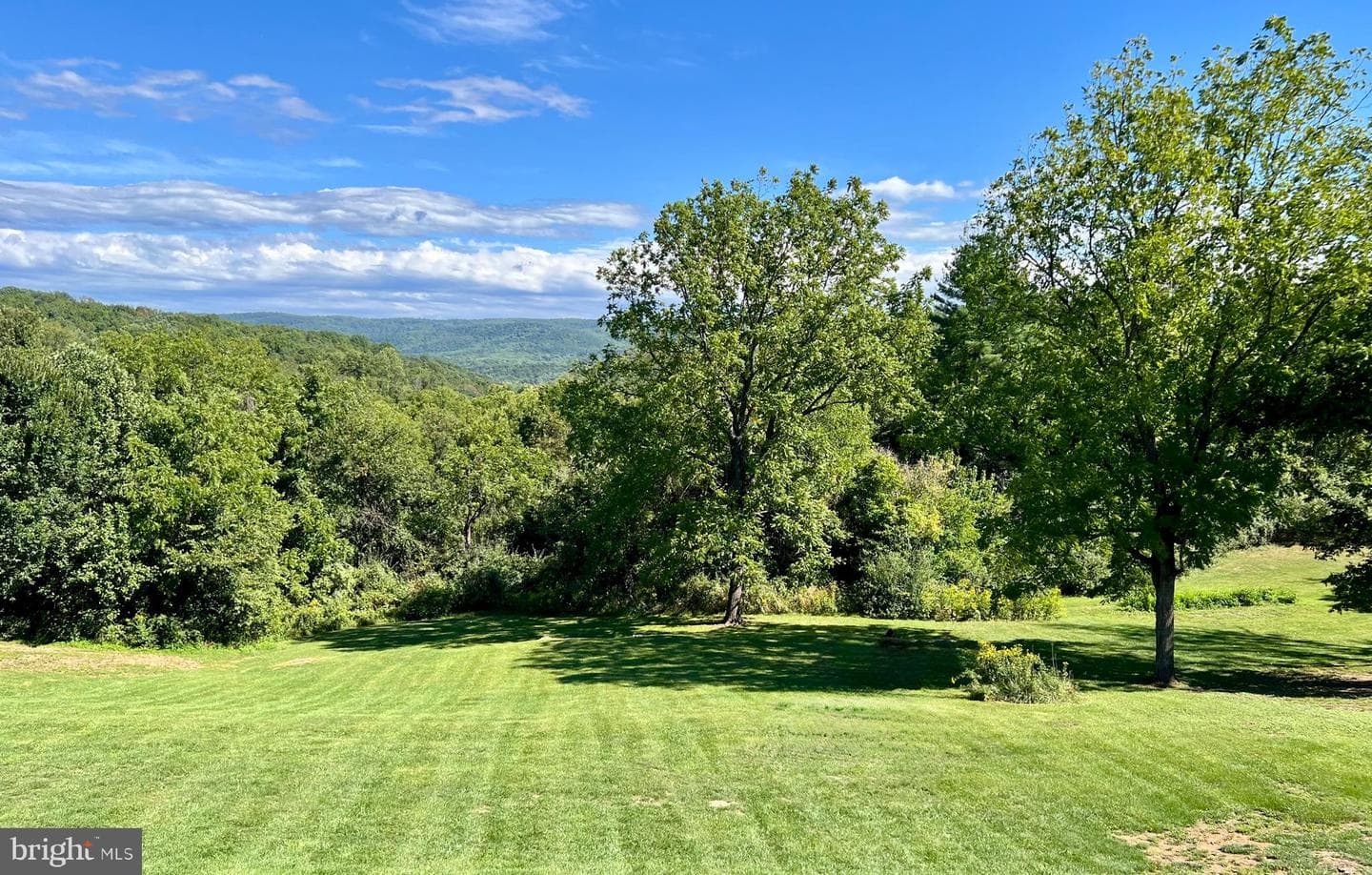 1230 Chilly Hollow Road photo 50
