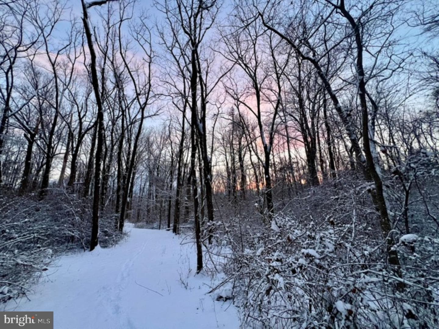 1230 Chilly Hollow Road photo 54