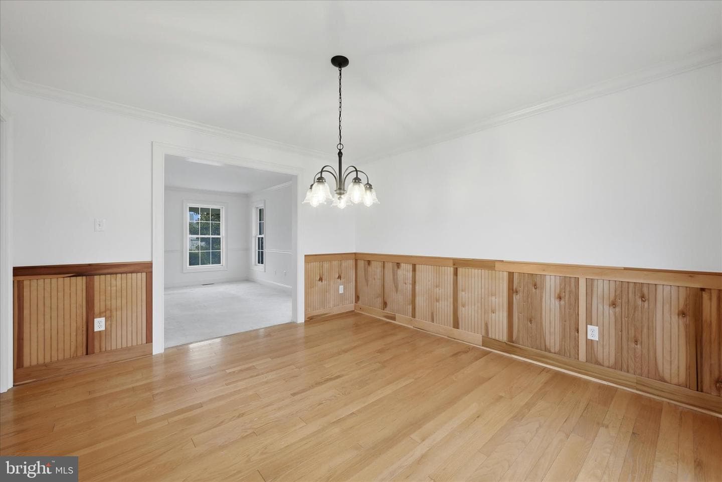 404 Fremont Court photo 18