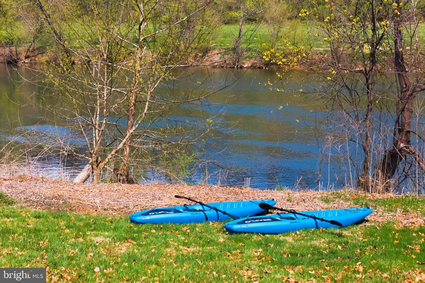 1527 Shenandoah River Lane photo 3