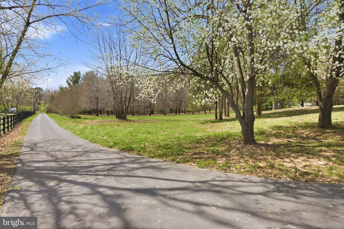 1527 Shenandoah River Lane photo 57