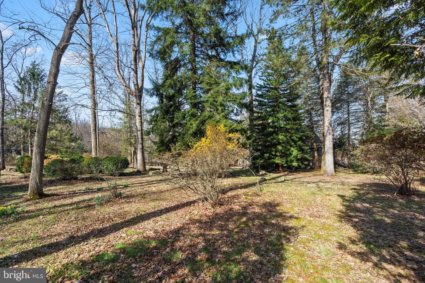 17641 Raven Rocks Road photo 97