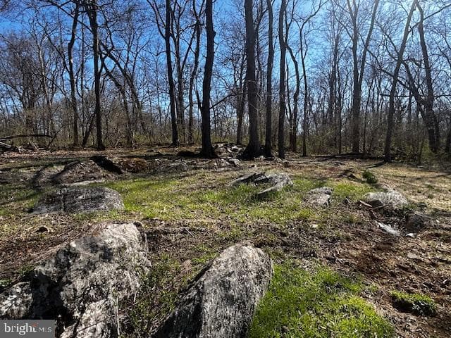 436 Summerville Road photo 19