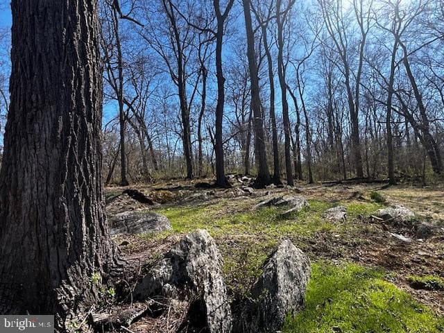 436 Summerville Road photo 22