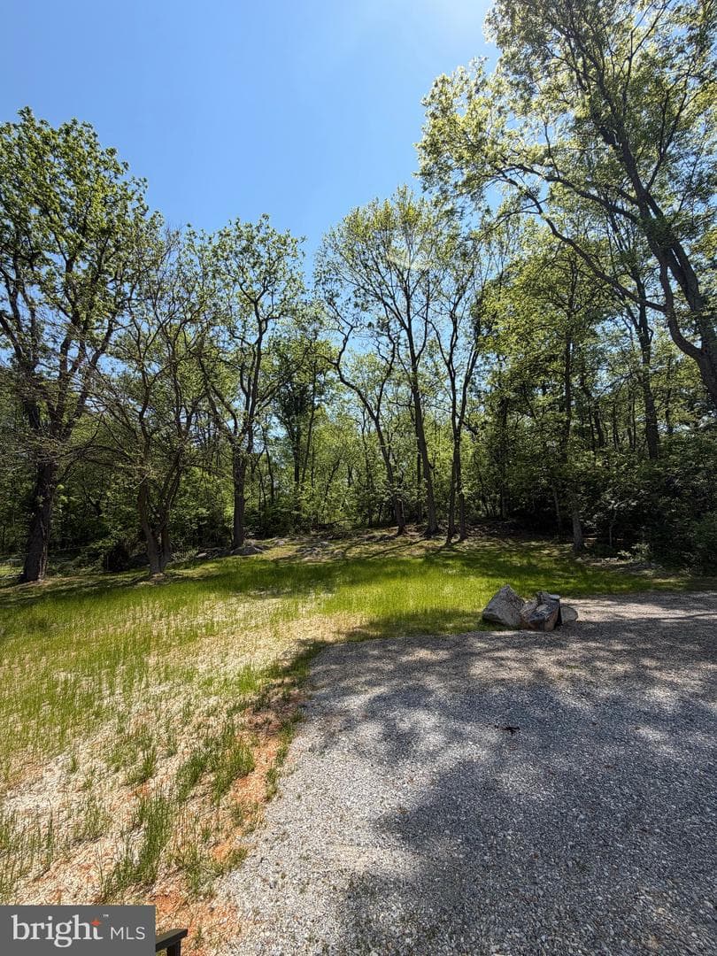 436 Summerville Road photo 76