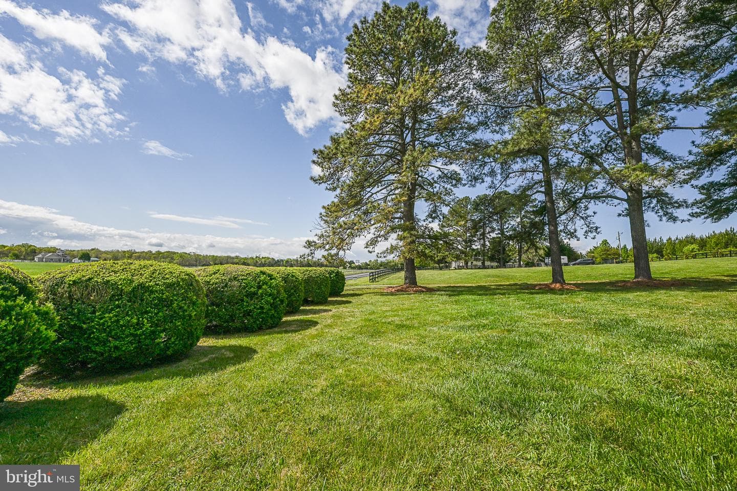 2881 Salem Church Road photo 98