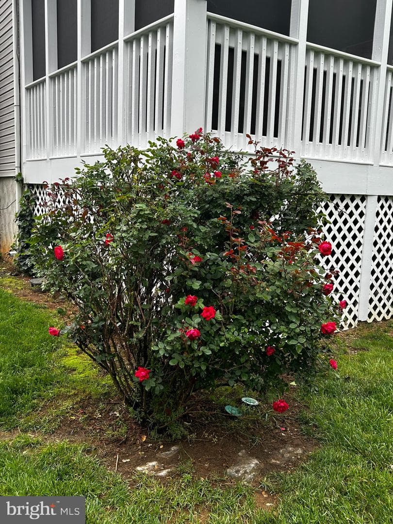 300 Archer Court photo 16