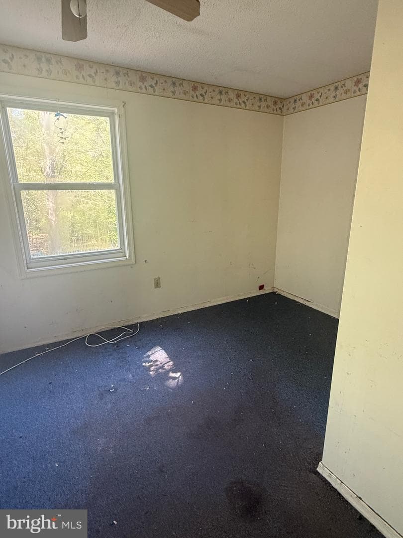 47 Evergreen Lane photo 11