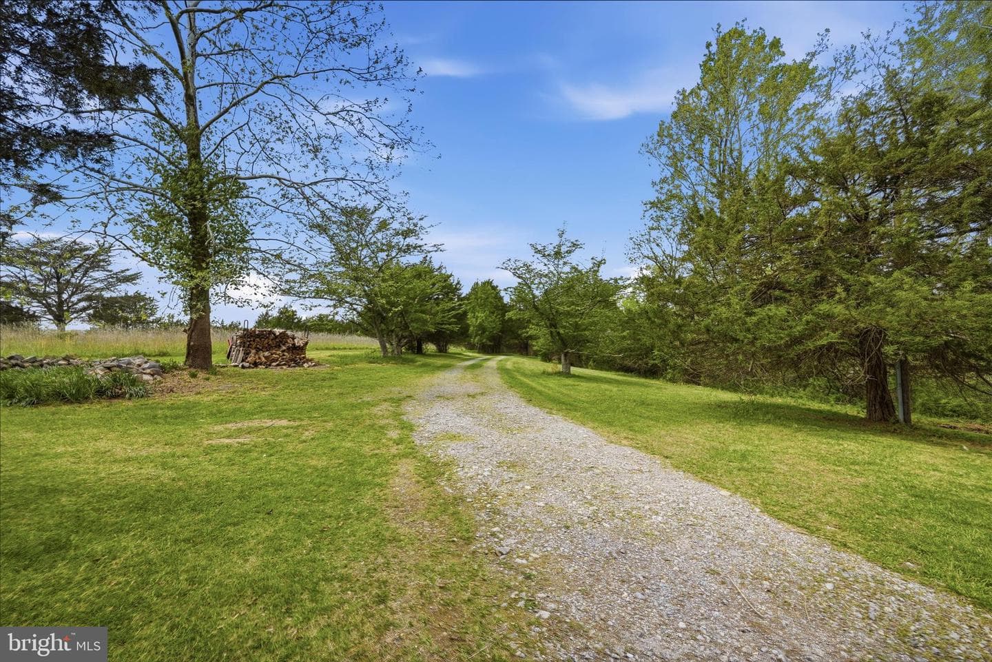 4001 Calmes Neck Lane photo 2